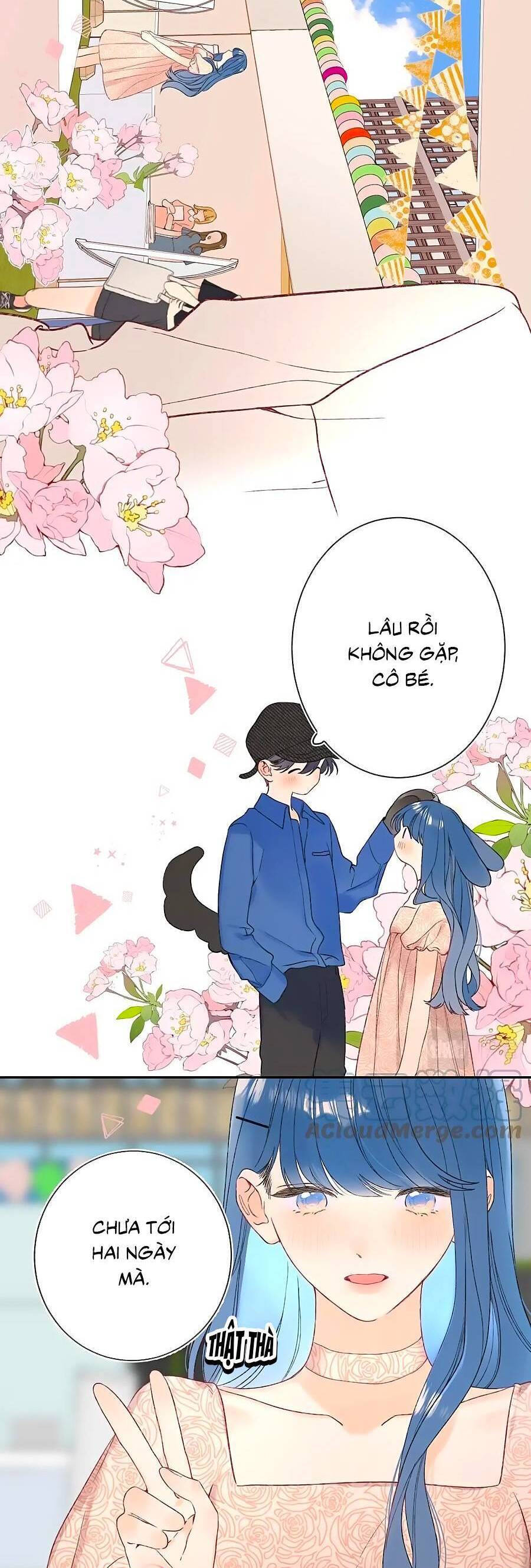 Đừng Khóc Chapter 113 - 17