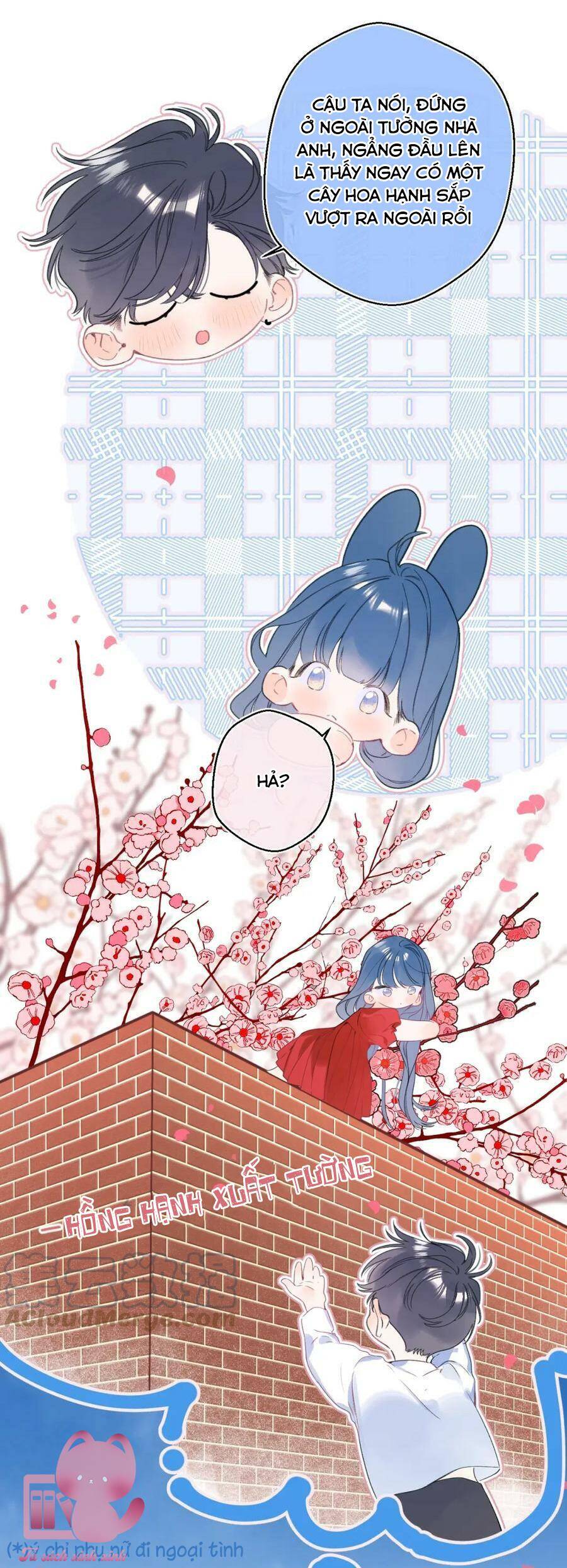 Đừng Khóc Chapter 120 - 16