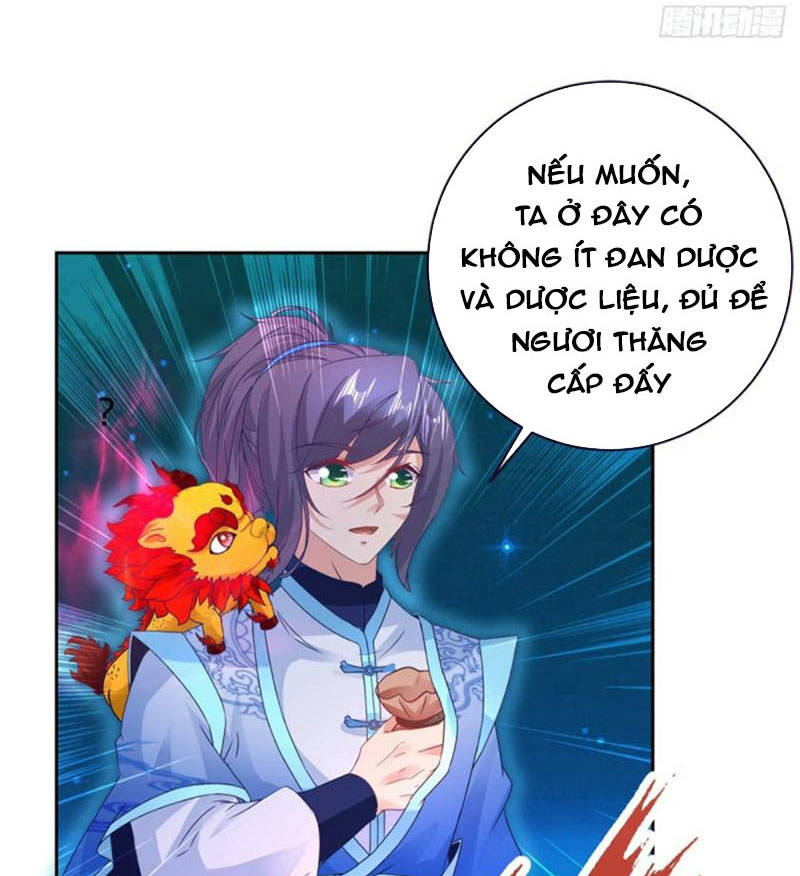 Thần Hồn Võ Đế Chapter 246 - 5