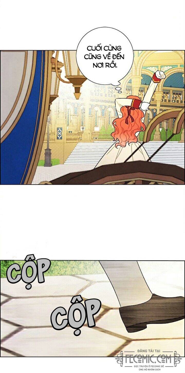 Tôi Đã Cướp Mất Đêm Đầu Tiên Của Nam Chính Chapter 100 - 50