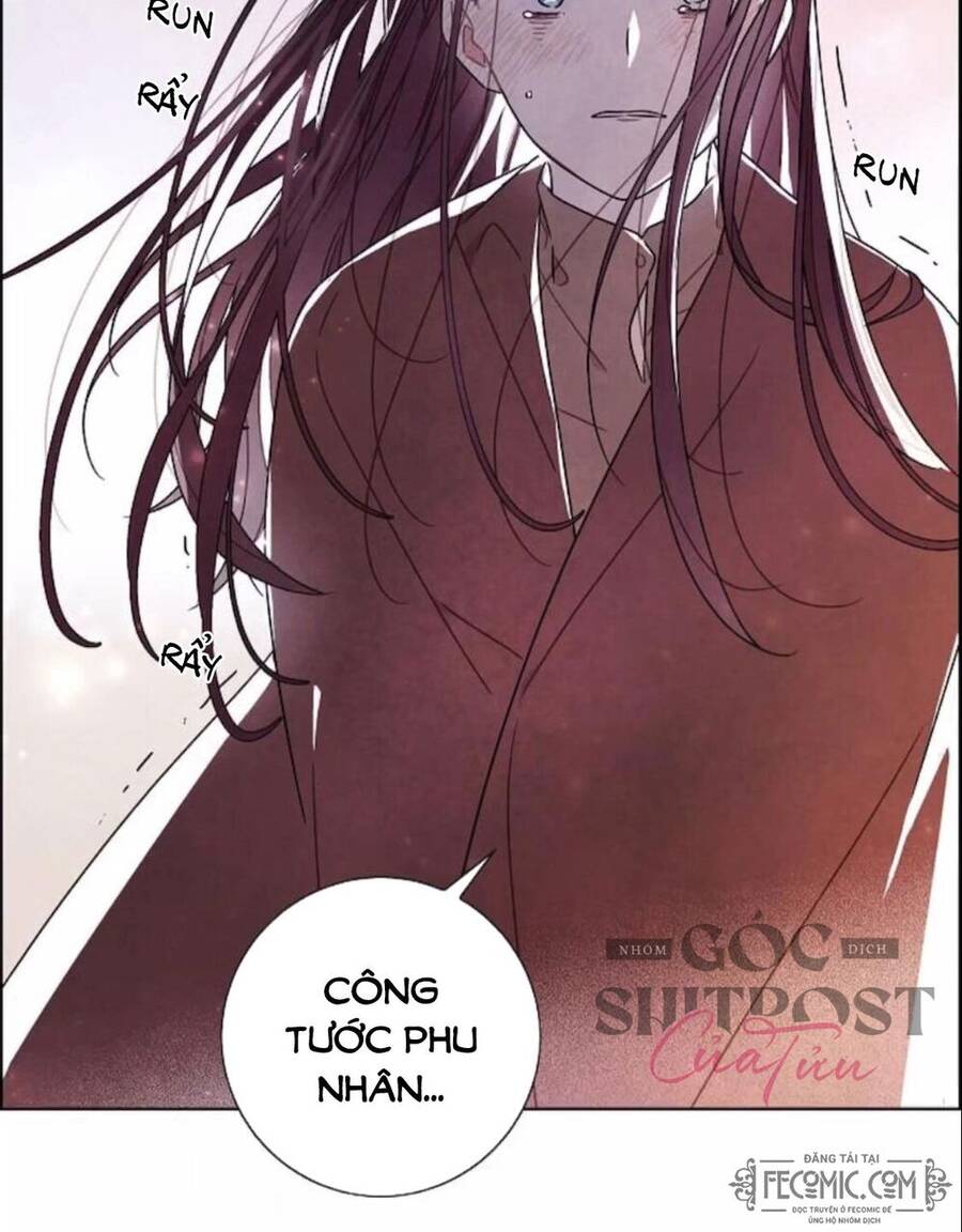 Tôi Đã Cướp Mất Đêm Đầu Tiên Của Nam Chính Chapter 96 - 12