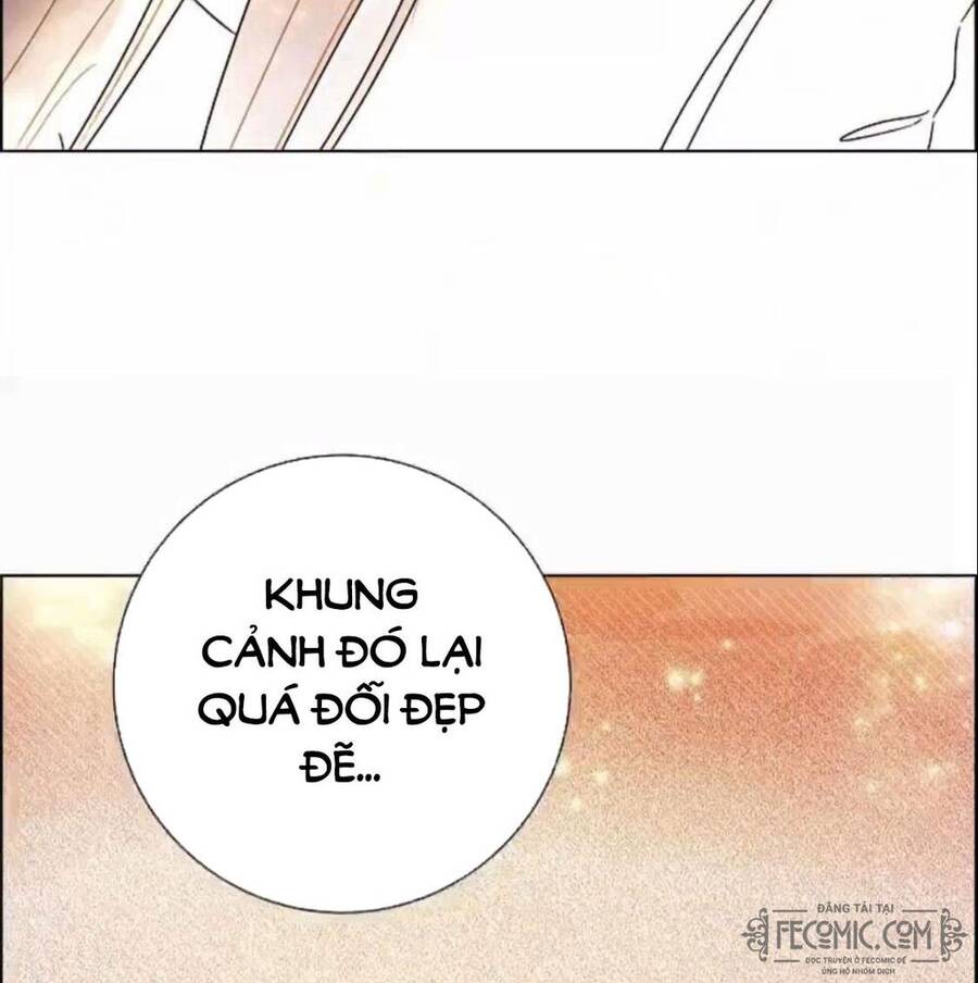 Tôi Đã Cướp Mất Đêm Đầu Tiên Của Nam Chính Chapter 96 - 41