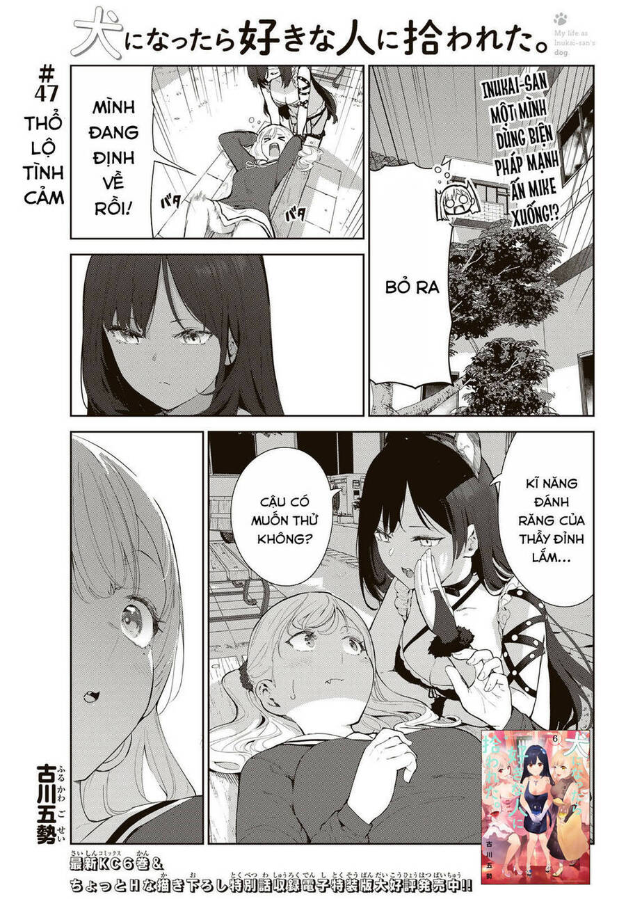 Cuộc Sống Khi Là Chó Cưng Của Inukai-San Chapter 47 - 1