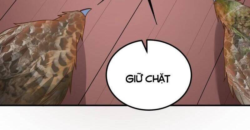 Sống Trên Hoang đảo Cùng Các Em Gái Chapter 211 - 26