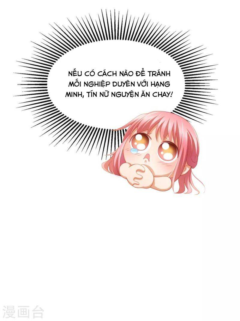 Nghìn Lẻ Một Đêm Với Tổng Tài Chapter 32 - 6