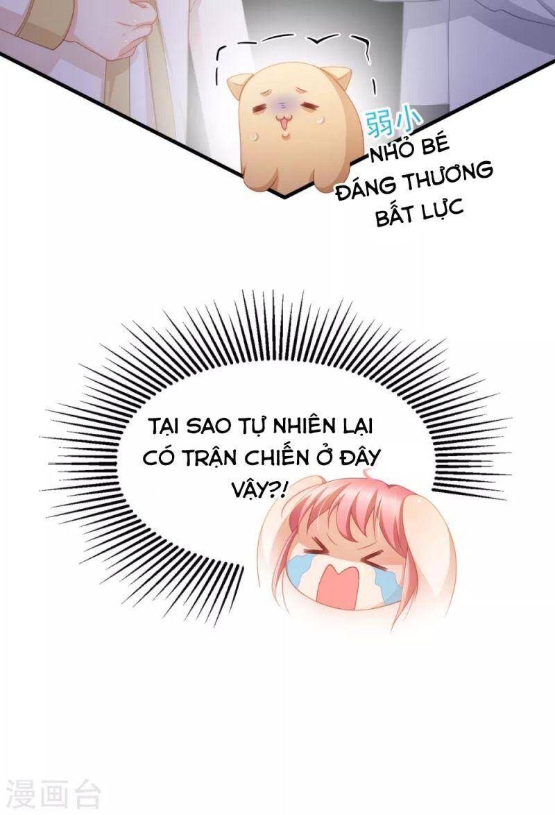 Nghìn Lẻ Một Đêm Với Tổng Tài Chapter 34 - 16