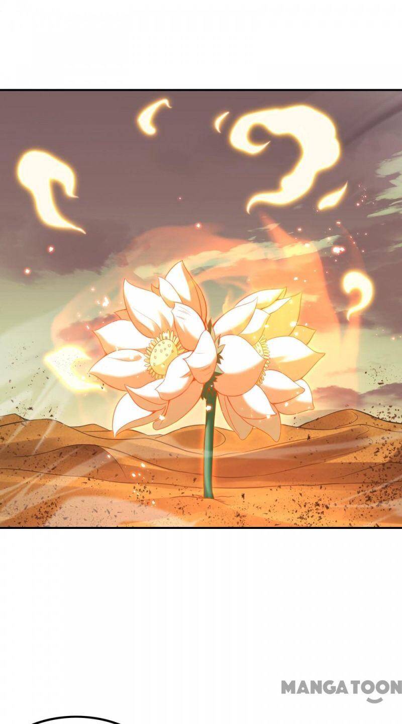 Đệ Nhất Ở Rể Chapter 123 - 47
