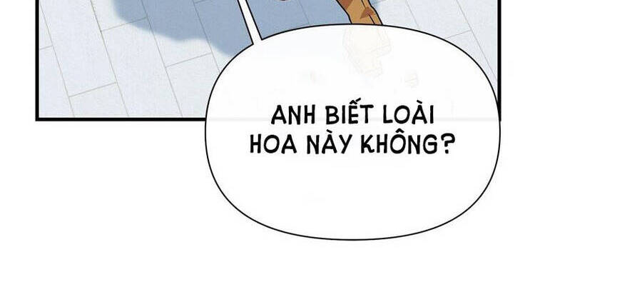 Bản Khế Ước Với Nữ Công Tước Ác Ma Chapter 132 - 12