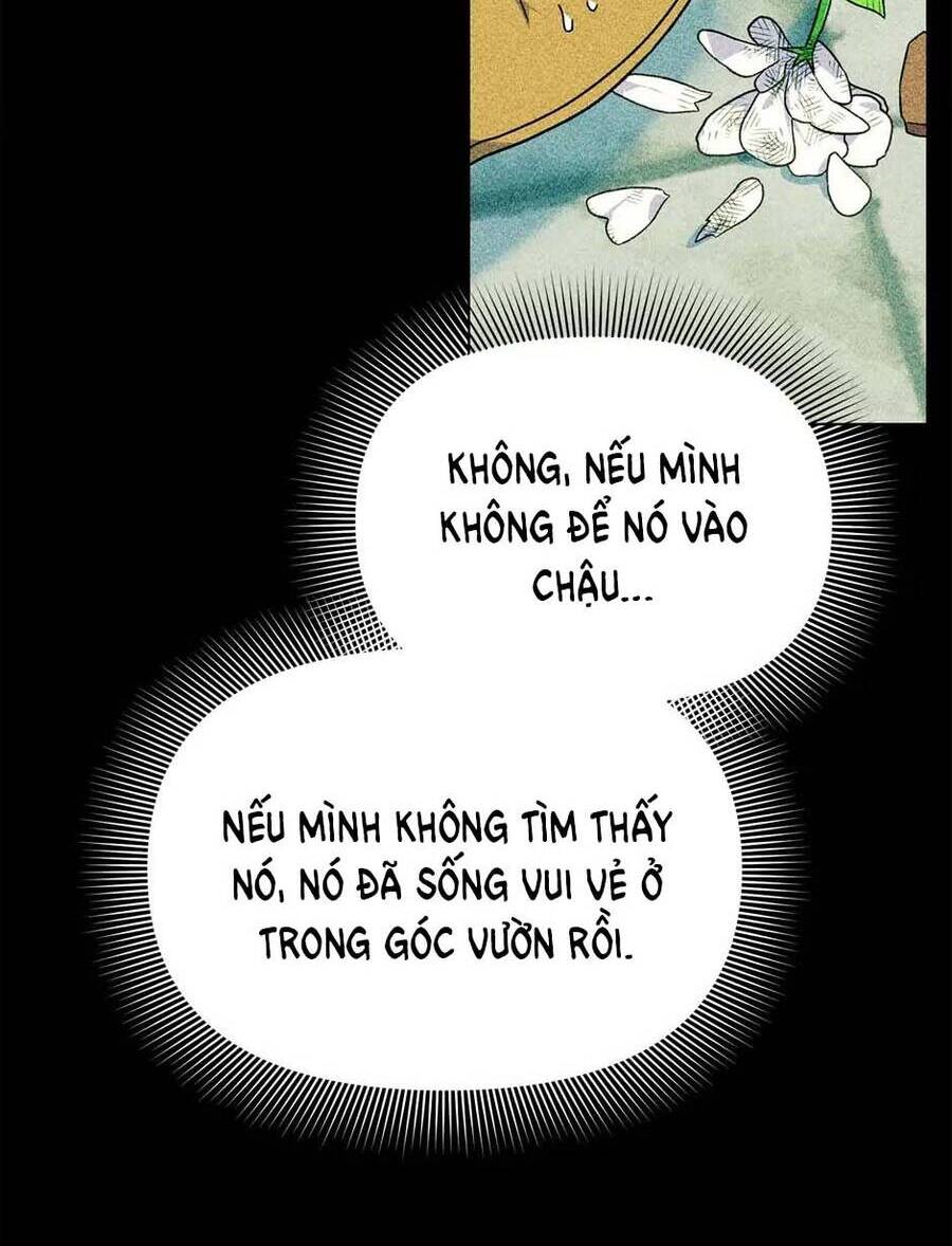 Bản Khế Ước Với Nữ Công Tước Ác Ma Chapter 133 - 6