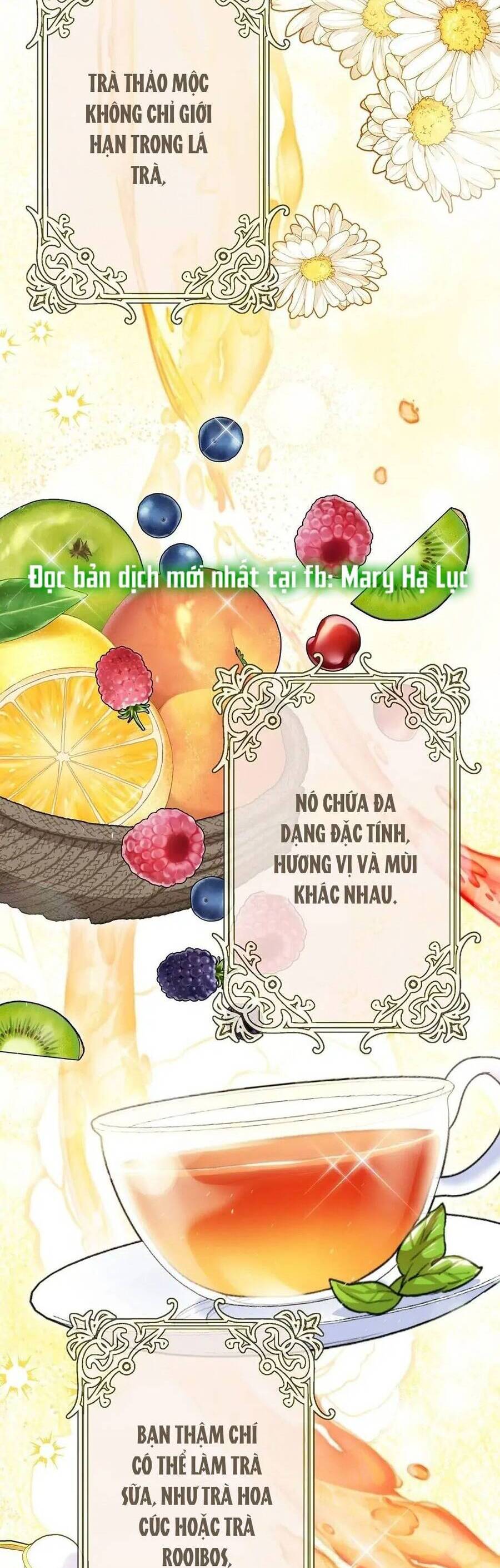 50 Công Thức Pha Trà Của Nữ Công Tước Chapter 137 - 14