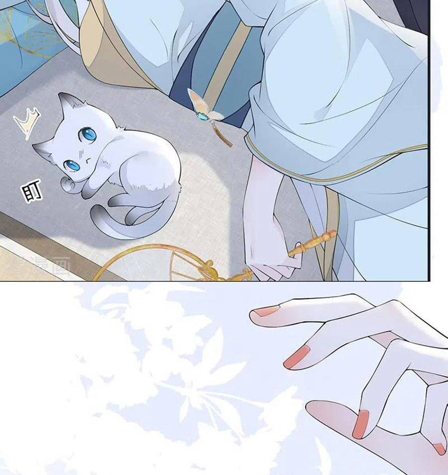 Thái Hậu Quân Hạ Thần Chapter 177 - 12