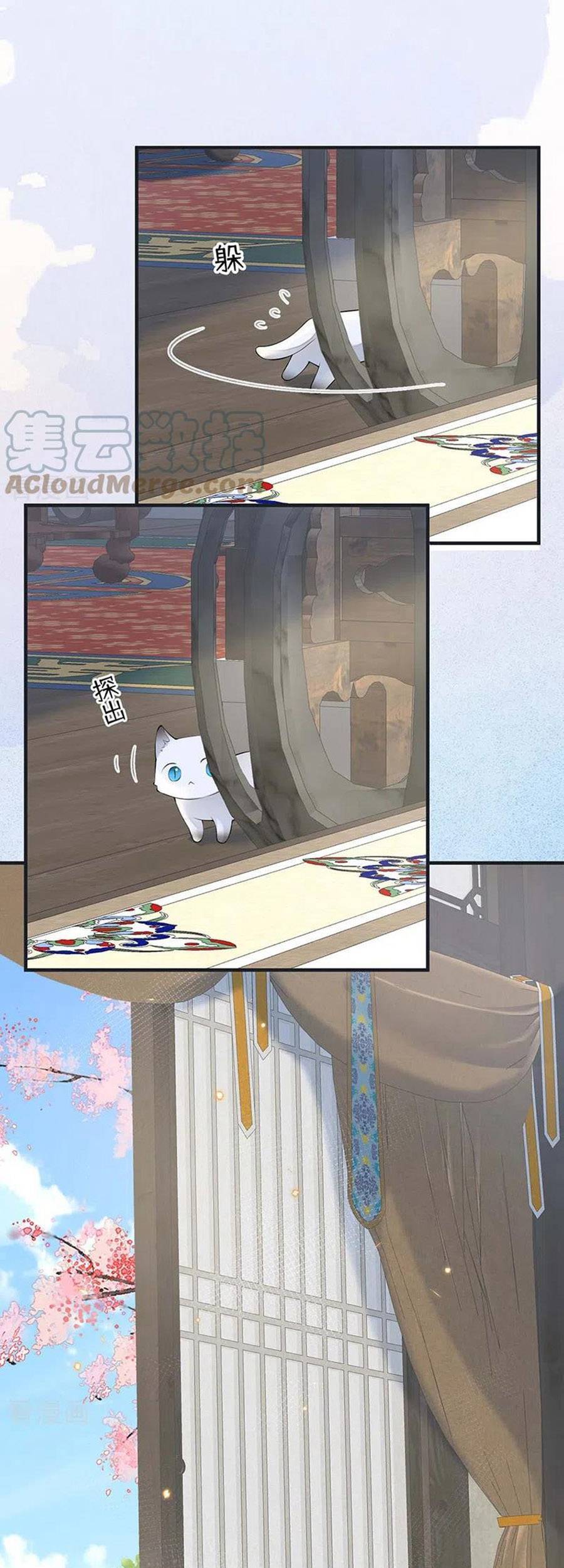 Thái Hậu Quân Hạ Thần Chapter 177 - 15