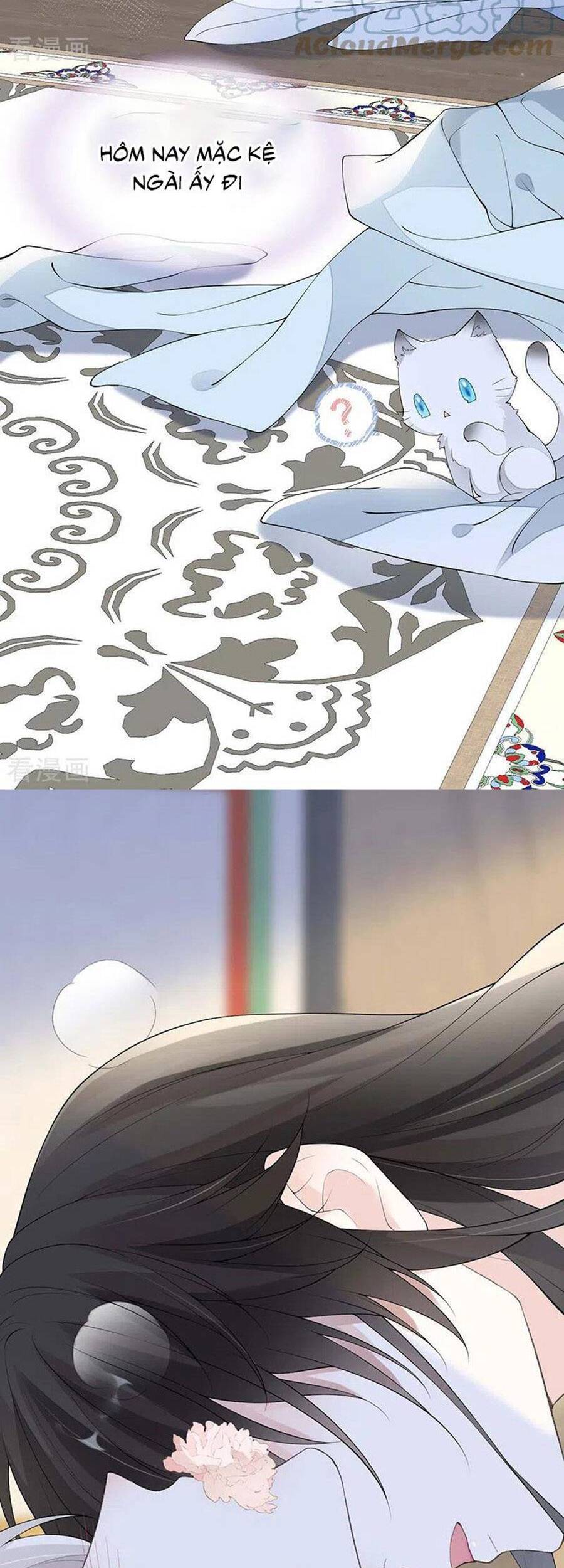 Thái Hậu Quân Hạ Thần Chapter 178 - 18