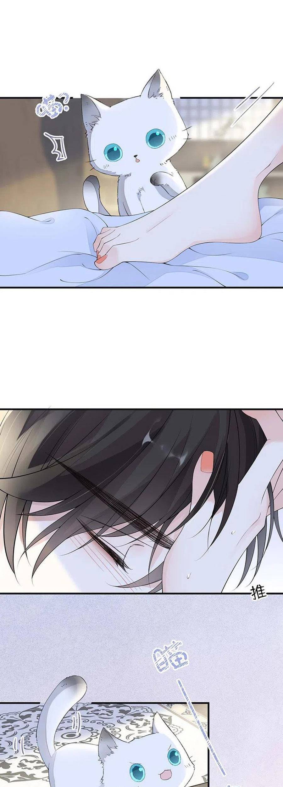 Thái Hậu Quân Hạ Thần Chapter 178 - 26