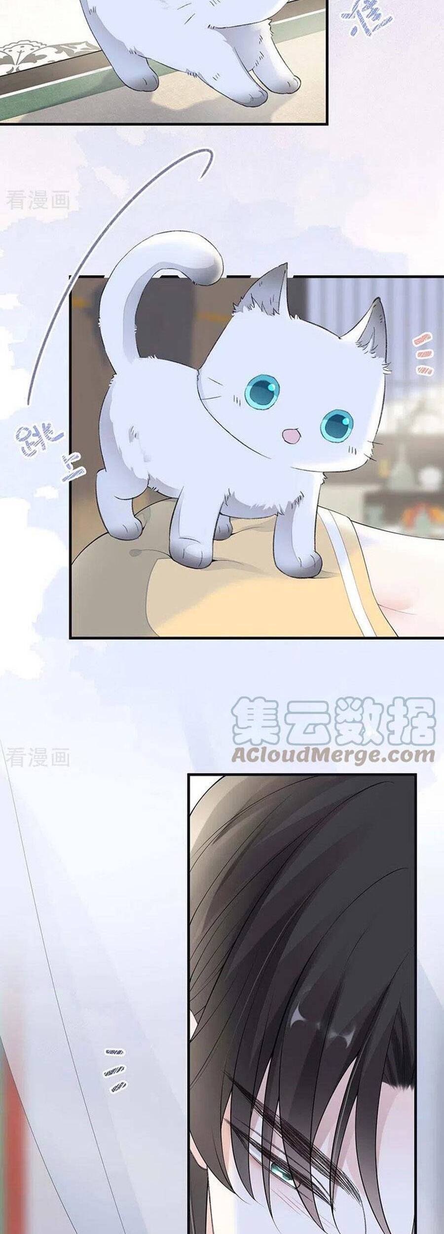 Thái Hậu Quân Hạ Thần Chapter 178 - 27