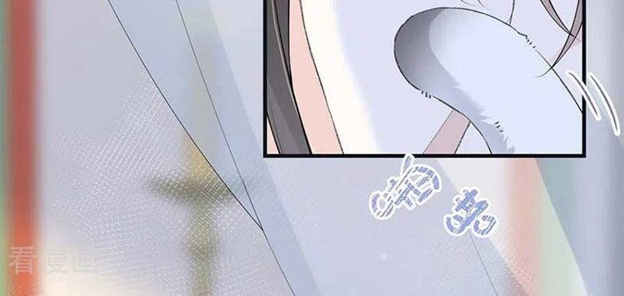 Thái Hậu Quân Hạ Thần Chapter 178 - 28