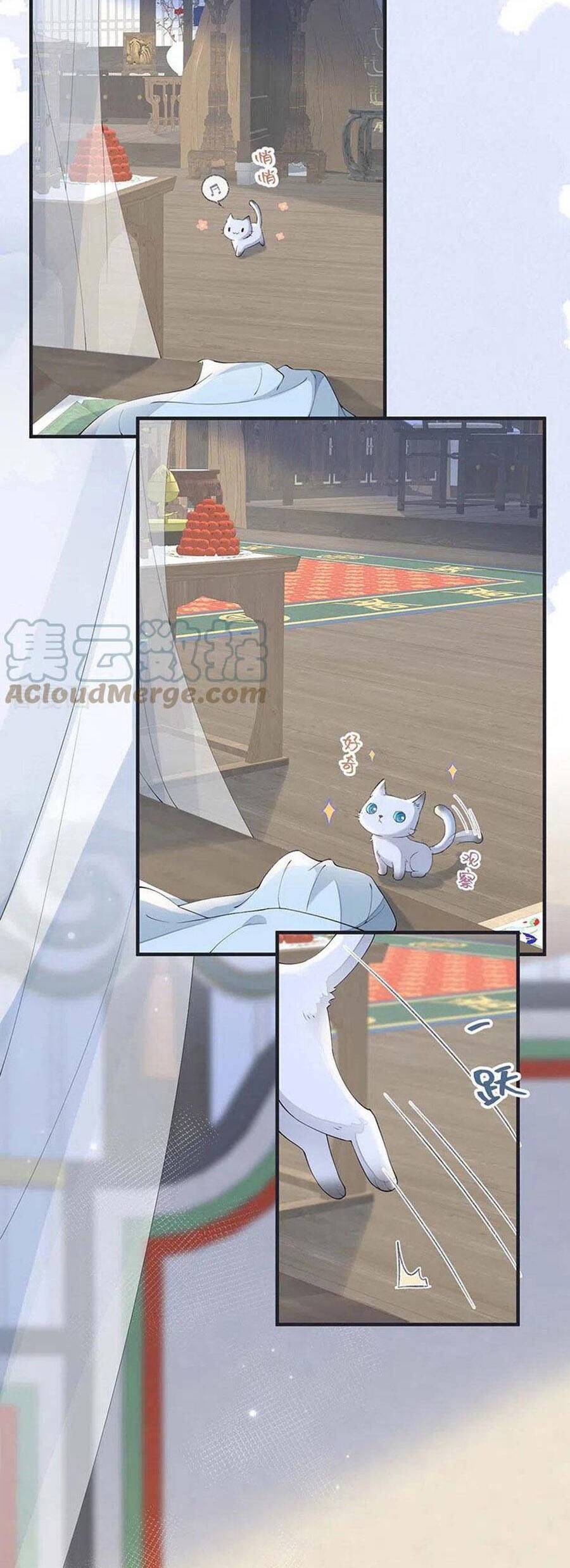 Thái Hậu Quân Hạ Thần Chapter 179 - 11