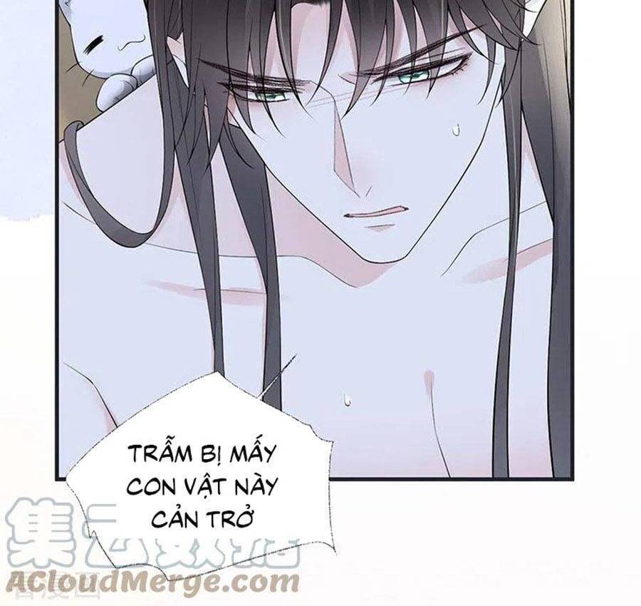 Thái Hậu Quân Hạ Thần Chapter 179 - 14