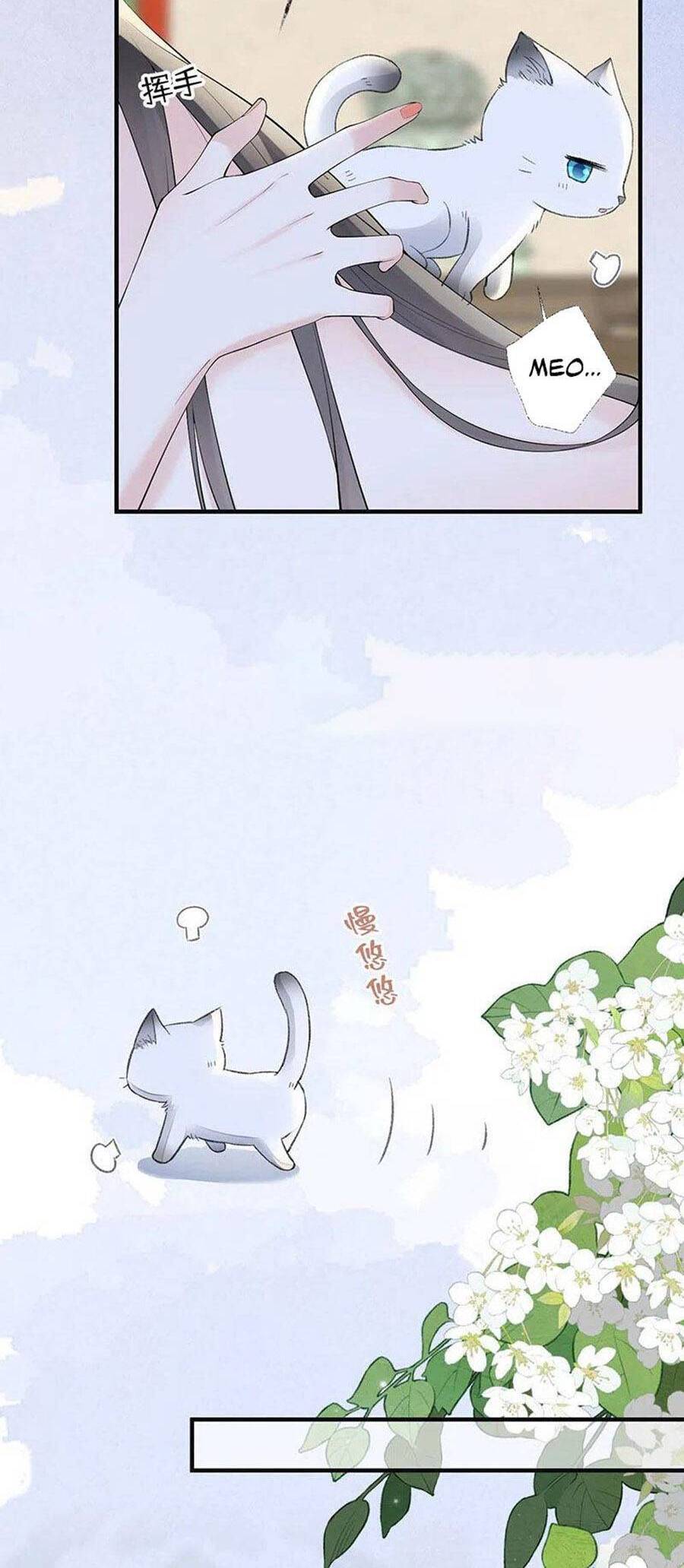 Thái Hậu Quân Hạ Thần Chapter 179 - 19