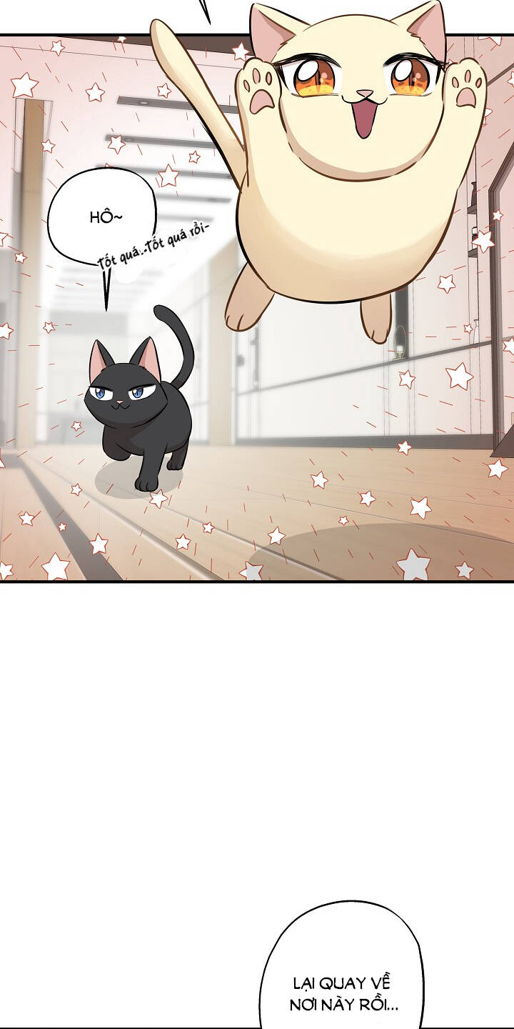 Một Cuộc Sống Kỳ Lạ Chapter 64 - 17