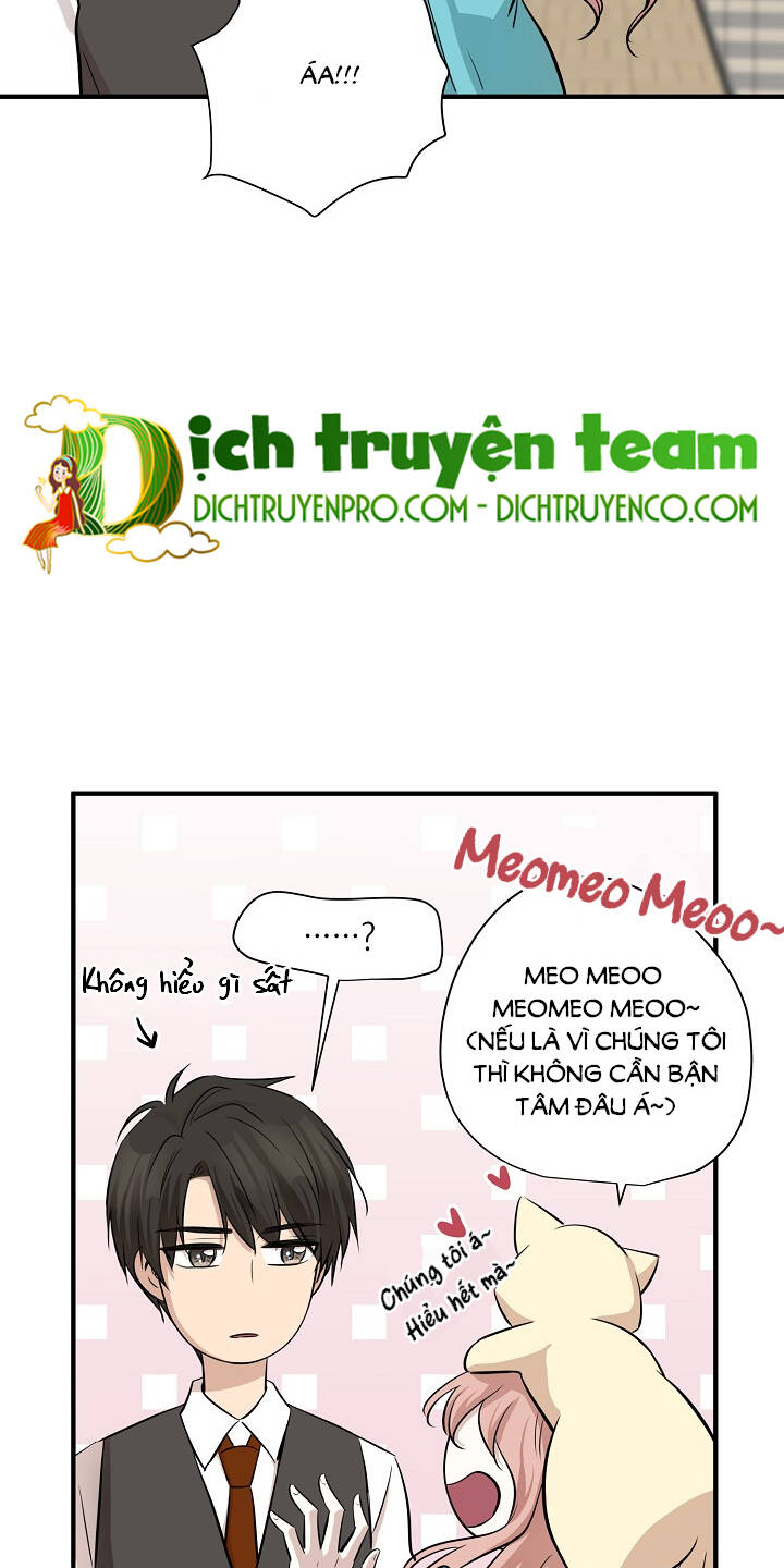 Một Cuộc Sống Kỳ Lạ Chapter 64 - 26