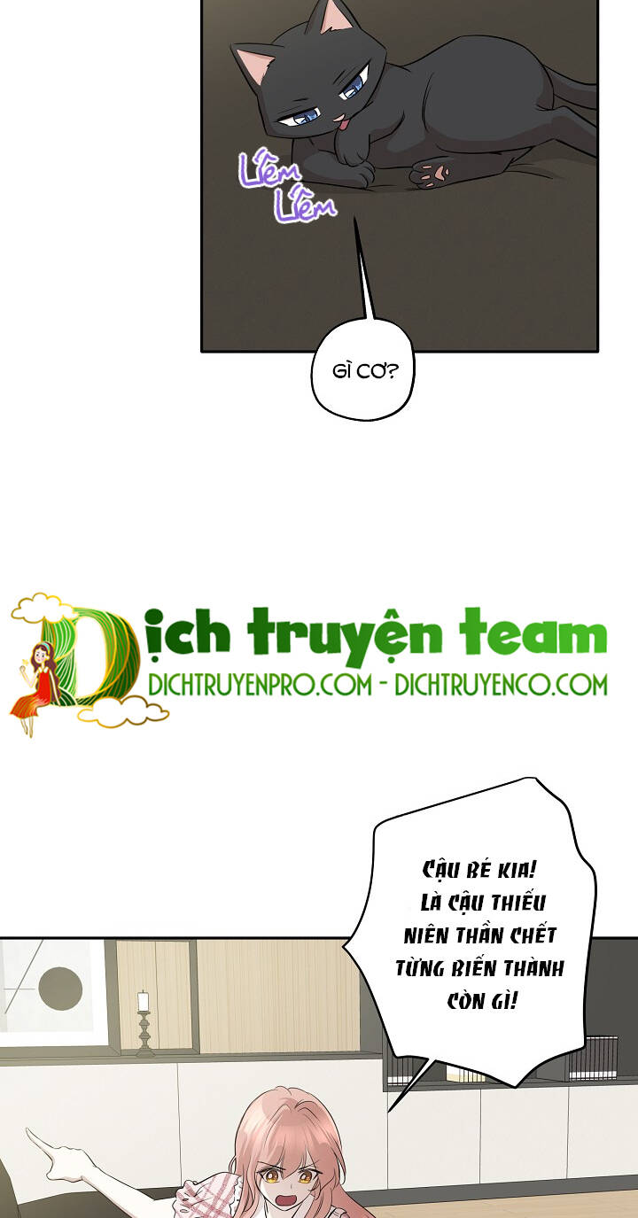 Một Cuộc Sống Kỳ Lạ Chapter 65 - 12