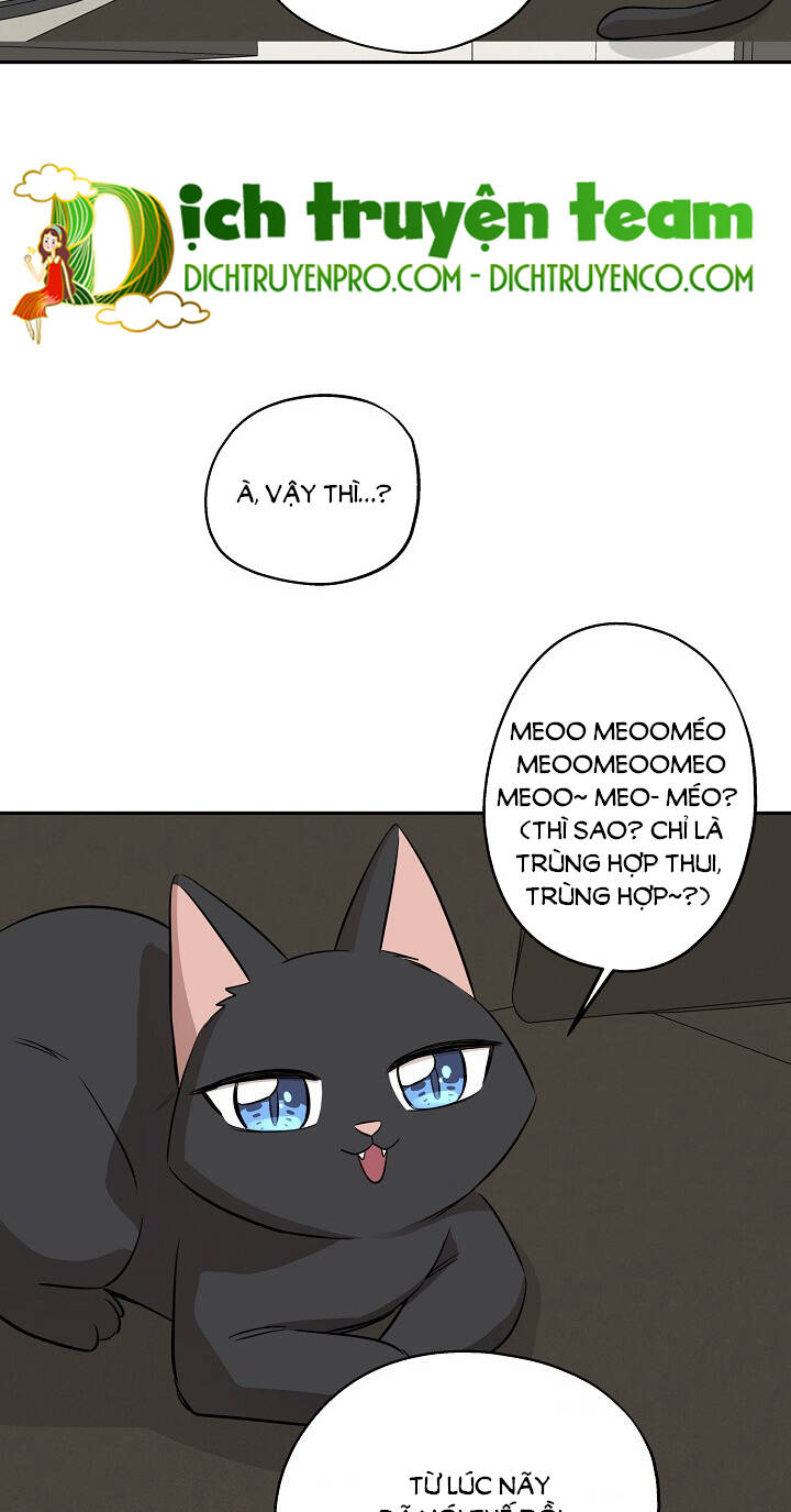 Một Cuộc Sống Kỳ Lạ Chapter 65 - 36