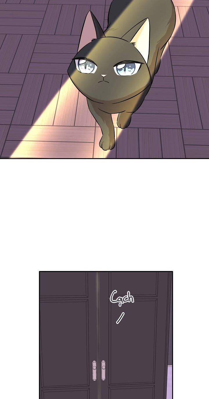 Một Cuộc Sống Kỳ Lạ Chapter 68 - 24