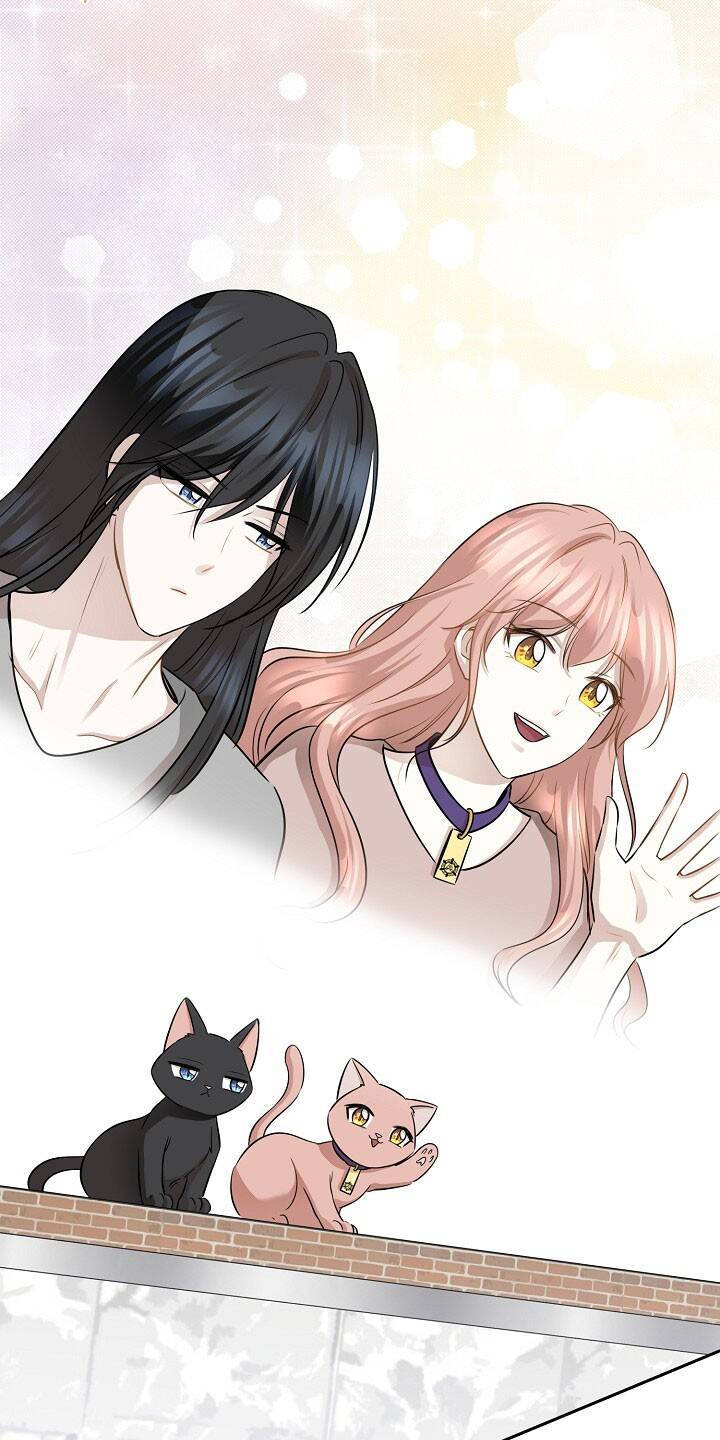 Một Cuộc Sống Kỳ Lạ Chapter 91 - 56