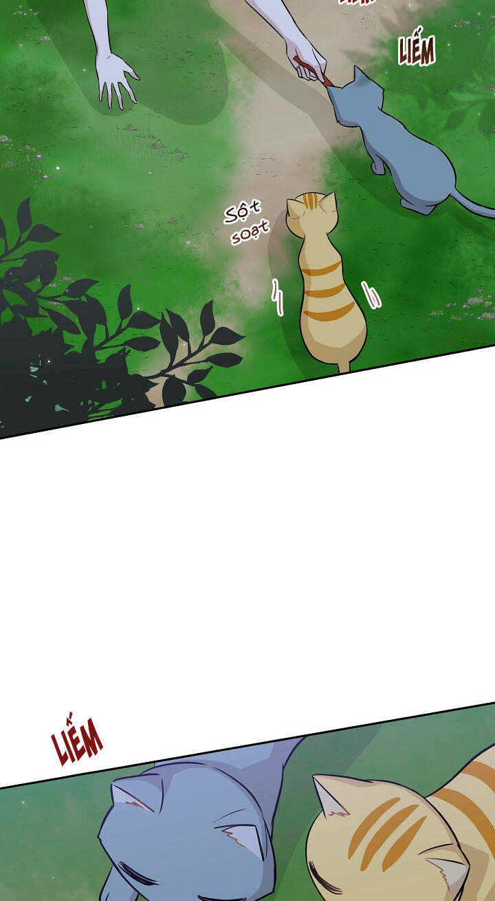 Một Cuộc Sống Kỳ Lạ Chapter 97 - 13