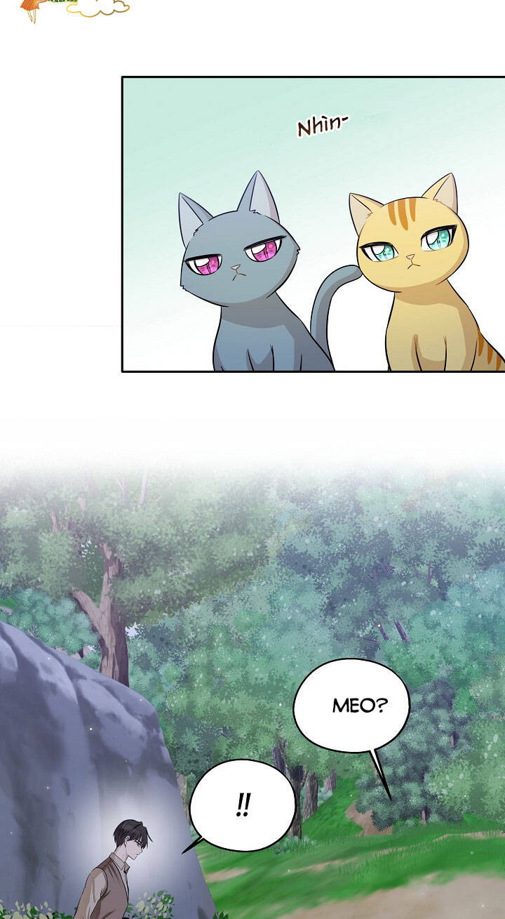 Một Cuộc Sống Kỳ Lạ Chapter 97 - 29