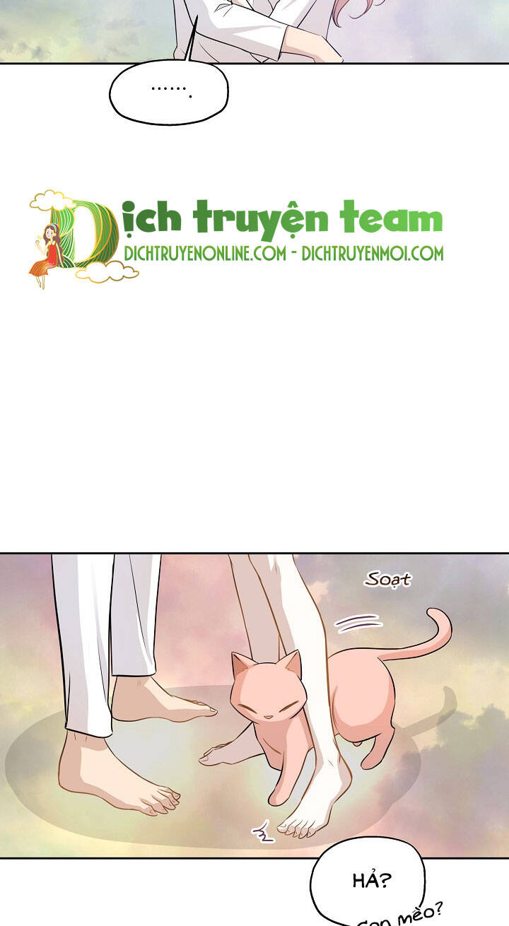 Một Cuộc Sống Kỳ Lạ Chapter 97 - 61