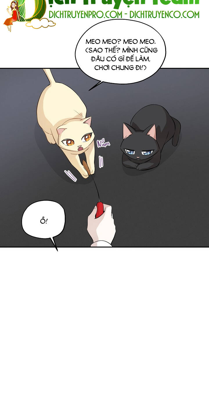Một Cuộc Sống Kỳ Lạ Chapter 69 - 4