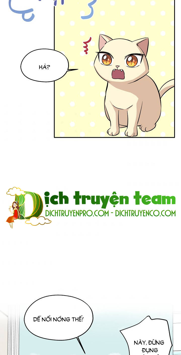 Một Cuộc Sống Kỳ Lạ Chapter 69 - 44