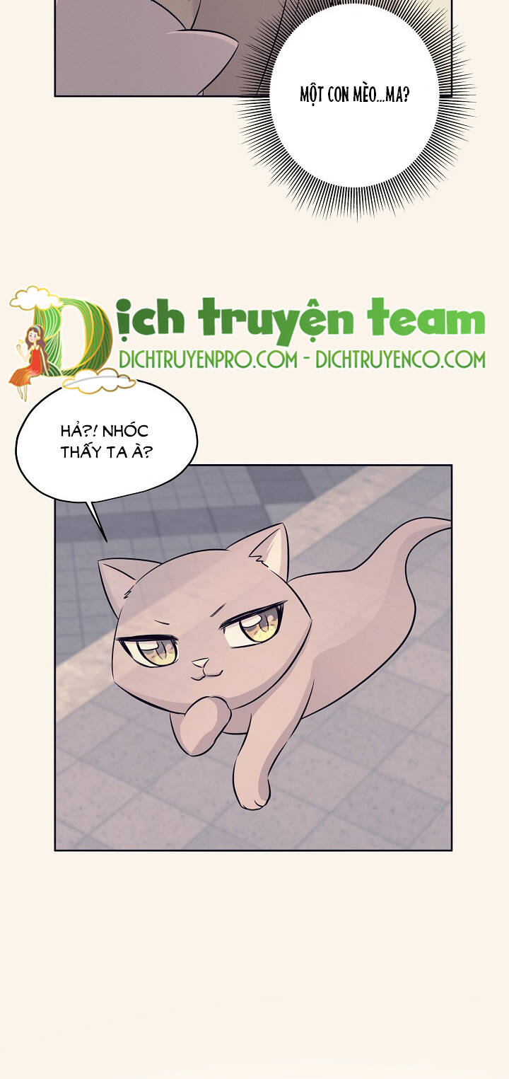 Một Cuộc Sống Kỳ Lạ Chapter 76 - 28