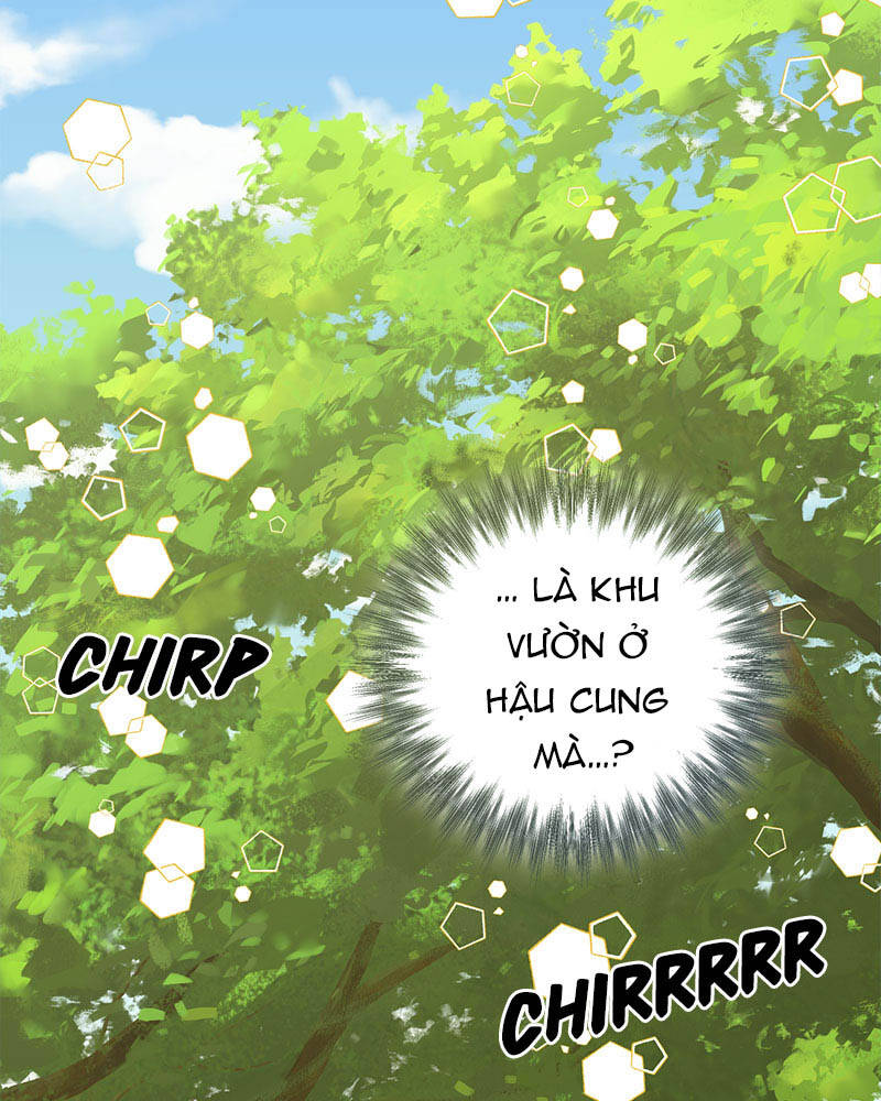 Dàn Trai Đẹp Chốn Hậu Cung Chapter 83.1 - 19
