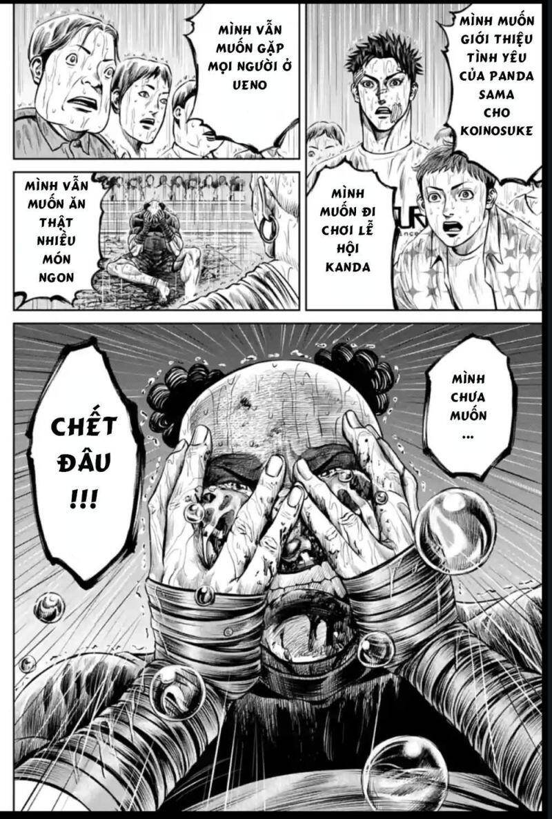 Loạn Đấu Tokyo Chapter 41 - 16