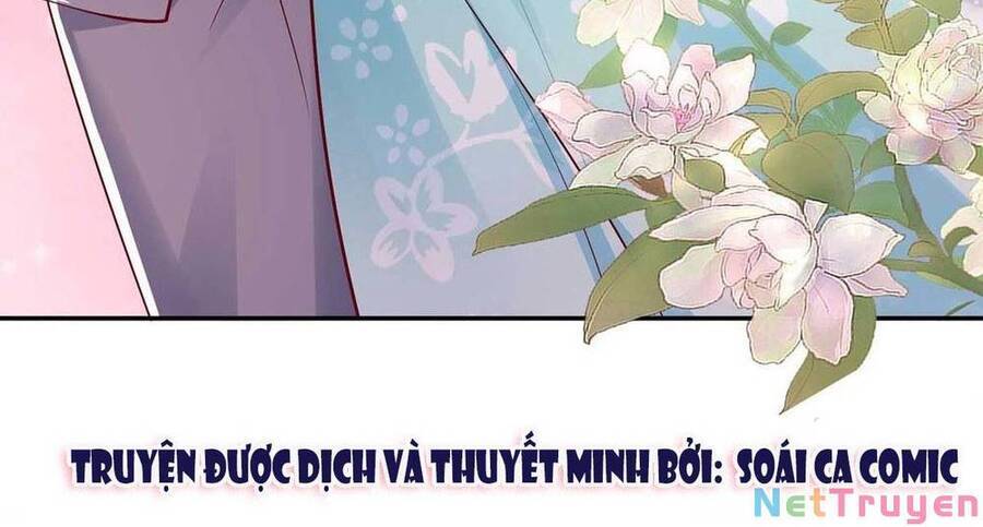 Trọng Sinh Chi Ngược Tra Nữ Vương Chapter 110 - 2