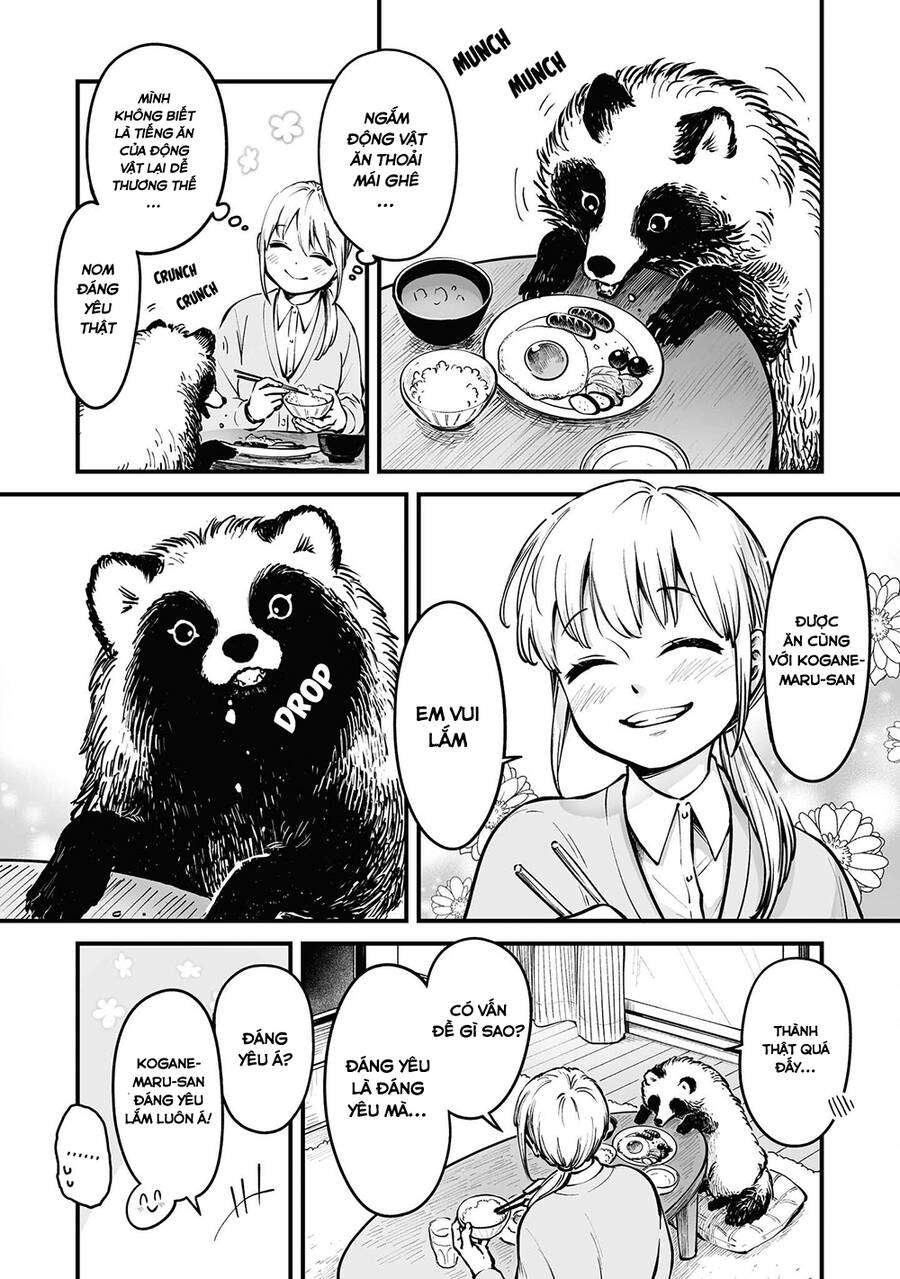 Này, có muốn làm Tanuki không? Chapter 10.2 - 4