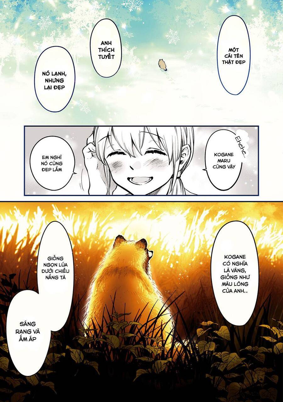 Này, có muốn làm Tanuki không? Chapter 14 - 8