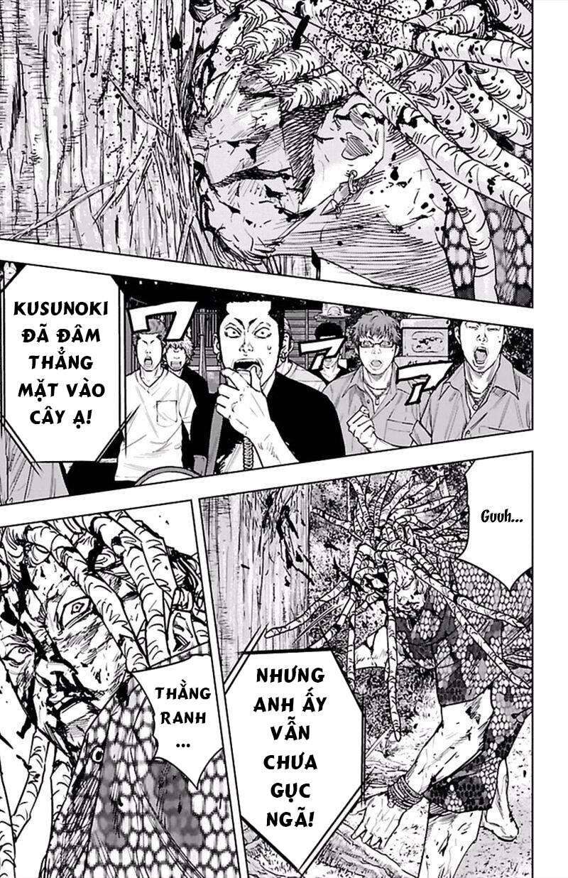 Clover (Tetsuhiro Hirakawa) Chapter 374 - 15