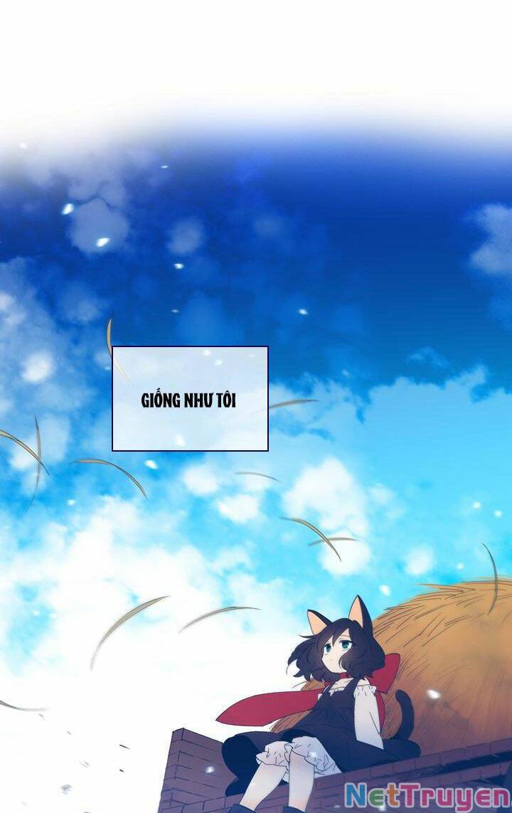 Nàng Phù Thủy Của Tôi Chapter 41.1 - 17