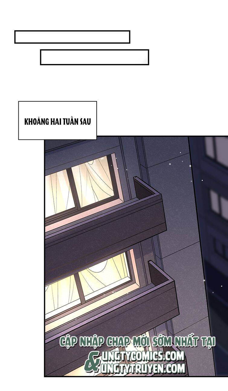 Anh Ấy Sinh Ra Đã Là Công Của Tôi Chapter 67 - 24