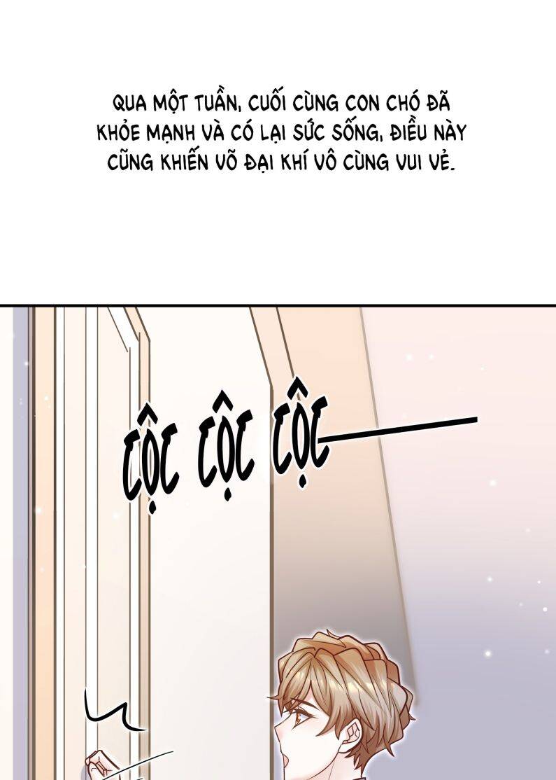 Anh Ấy Sinh Ra Đã Là Công Của Tôi Chapter 75 - 13