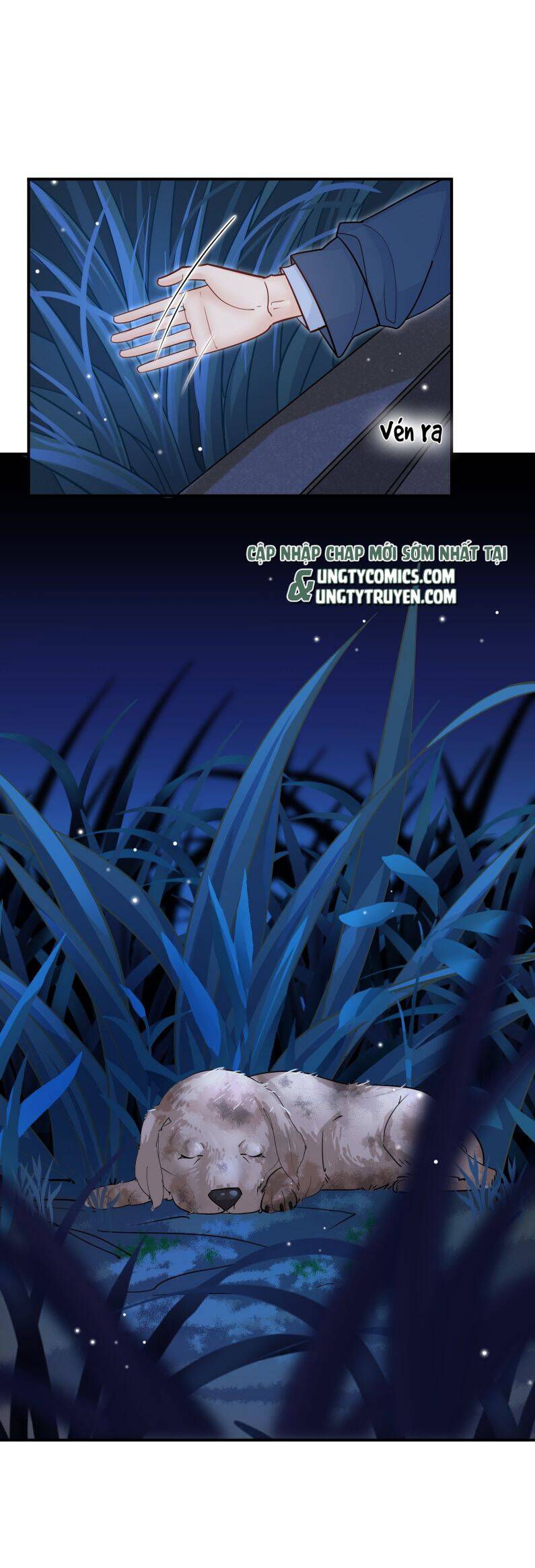 Anh Ấy Sinh Ra Đã Là Công Của Tôi Chapter 75 - 5