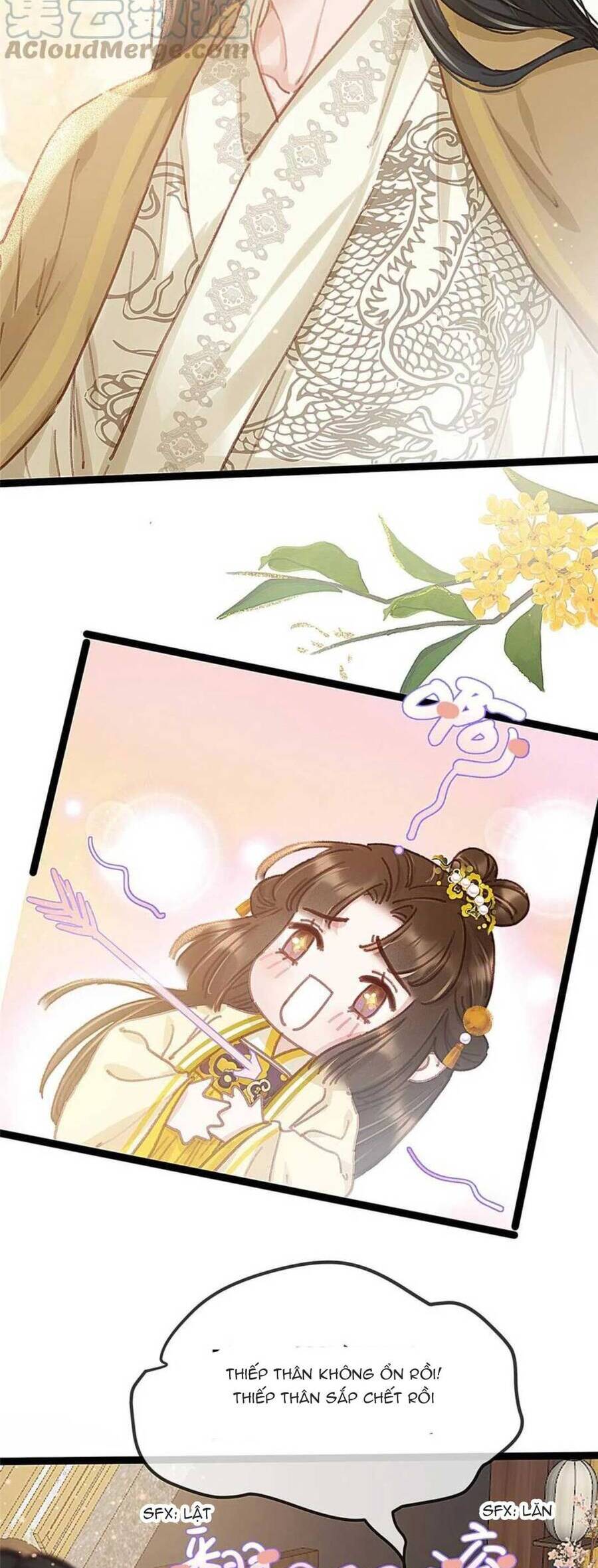 Quý Phi Muốn Trở Thành Con Cá Mặn Mòi Chapter 81 - 3