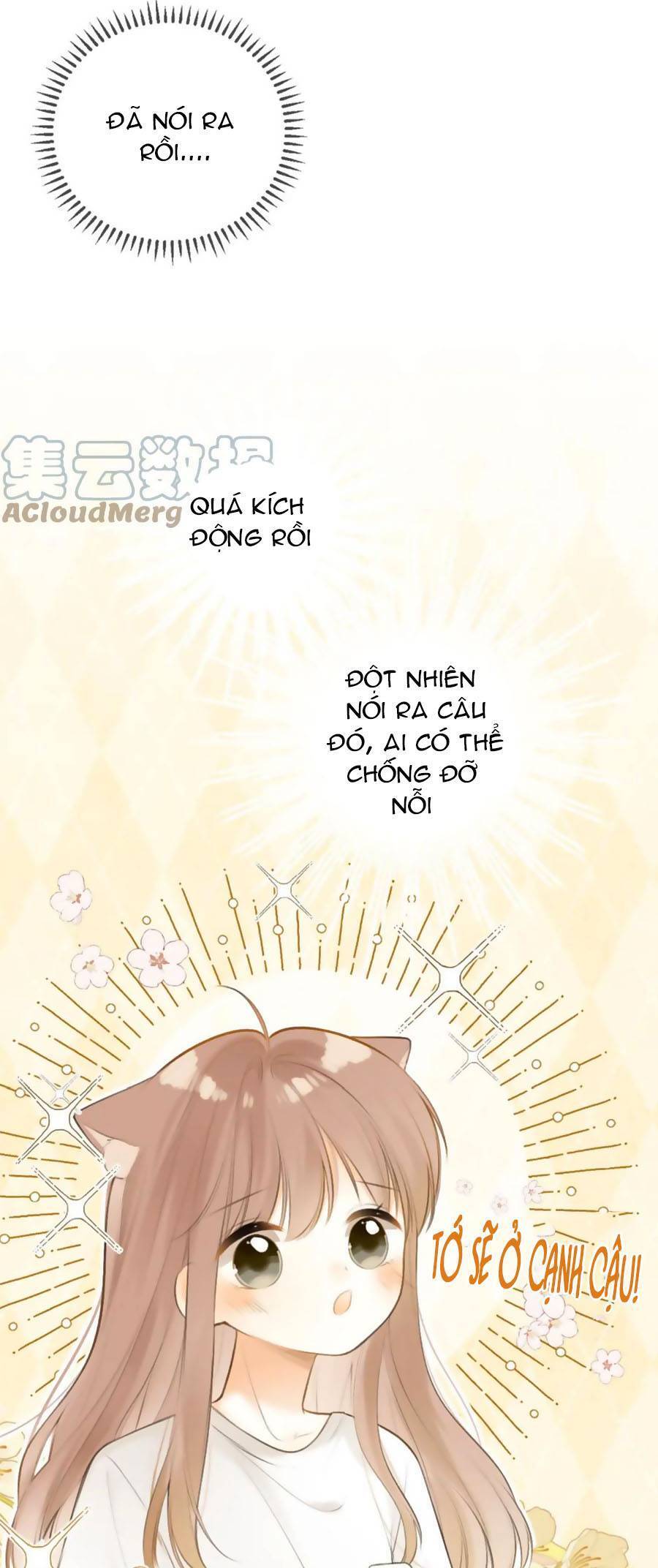 Tình Yêu Duy Nhất Của Tôi Chapter 40 - 29