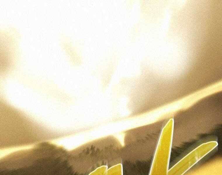 Thực Thư Pháp Sư Chapter 61 - 199