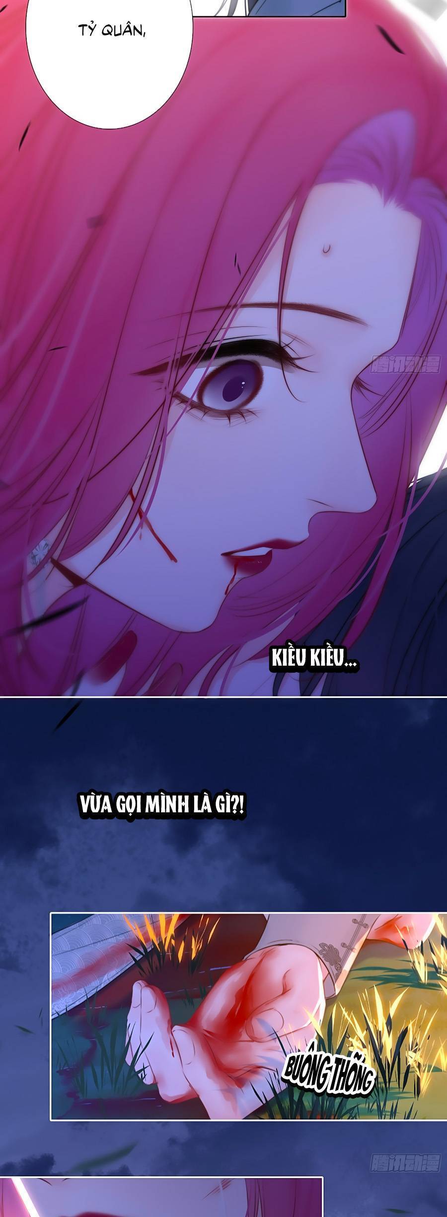 Kim Ốc Tàng Kiều Chapter 80 - 12