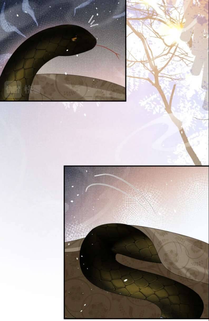 Ngộ Xà Chapter 91 - 36